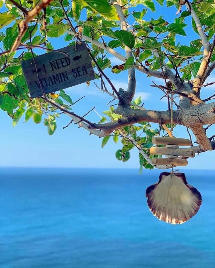 Апартаменты VitaminSea Бечичи-5